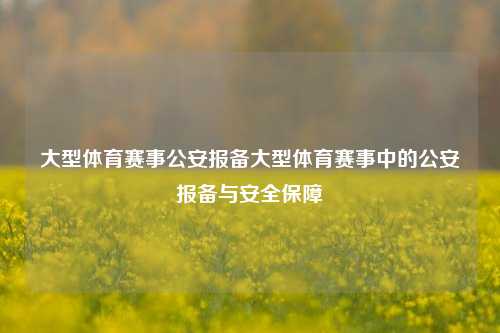 大型体育赛事公安报备大型体育赛事中的公安报备与安全保障