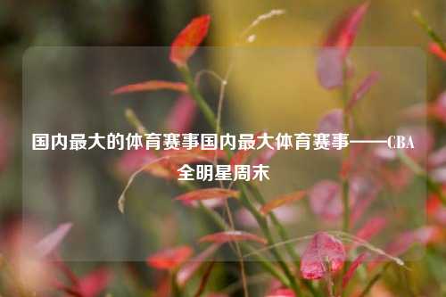 国内最大的体育赛事国内最大体育赛事——CBA全明星周末