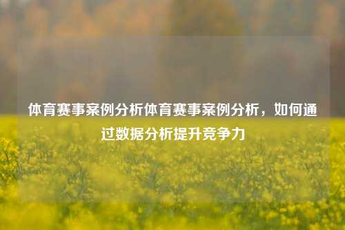 体育赛事案例分析体育赛事案例分析，如何通过数据分析提升竞争力