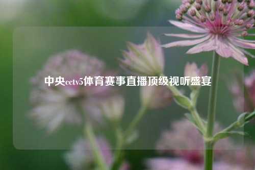 中央cctv5体育赛事直播顶级视听盛宴