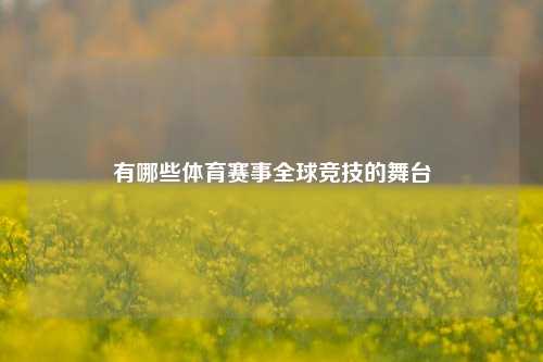 有哪些体育赛事全球竞技的舞台