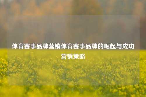 体育赛事品牌营销体育赛事品牌的崛起与成功营销策略