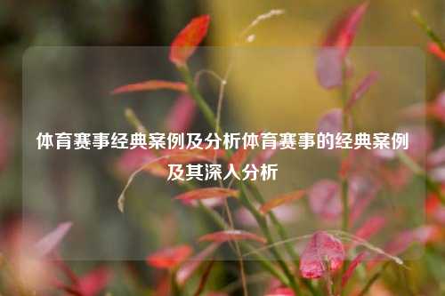 体育赛事经典案例及分析体育赛事的经典案例及其深入分析