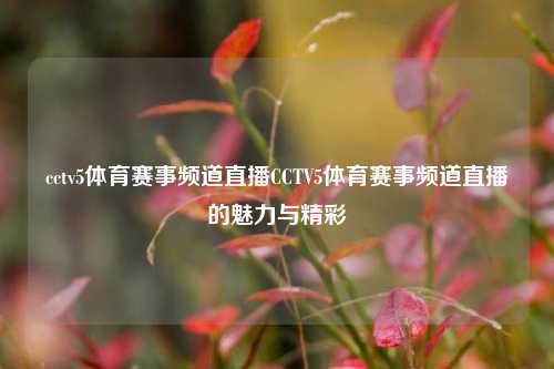 cctv5体育赛事频道直播CCTV5体育赛事频道直播的魅力与精彩
