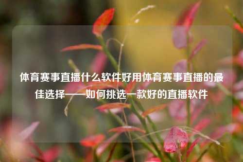 体育赛事直播什么软件好用体育赛事直播的最佳选择——如何挑选一款好的直播软件