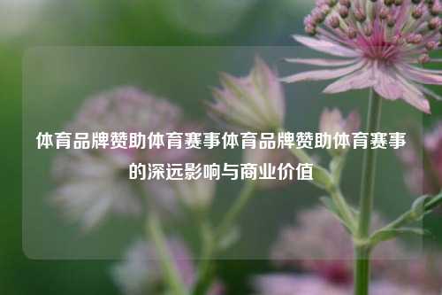 体育品牌赞助体育赛事体育品牌赞助体育赛事的深远影响与商业价值