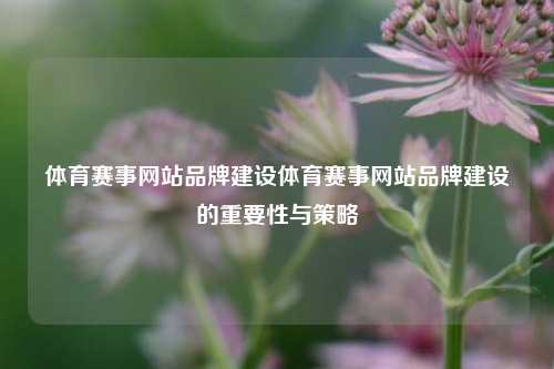 体育赛事网站品牌建设体育赛事网站品牌建设的重要性与策略