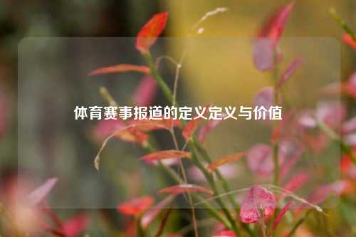 体育赛事报道的定义定义与价值