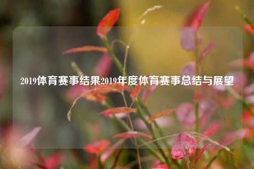 2019体育赛事结果2019年度体育赛事总结与展望