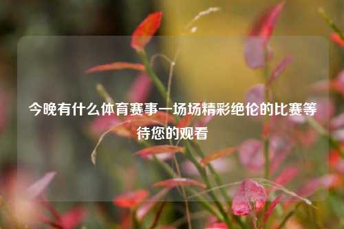 今晚有什么体育赛事一场场精彩绝伦的比赛等待您的观看