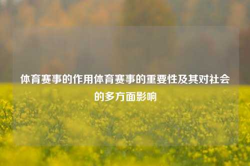 体育赛事的作用体育赛事的重要性及其对社会的多方面影响