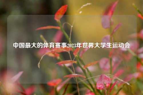 中国最大的体育赛事2023年世界大学生运动会