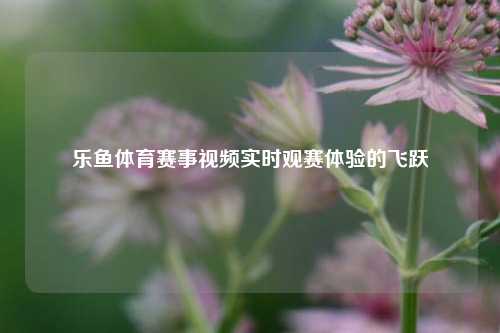 乐鱼体育赛事视频实时观赛体验的飞跃