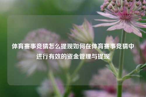 体育赛事竞猜怎么提现如何在体育赛事竞猜中进行有效的资金管理与提现