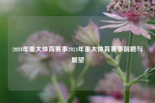 2024年重大体育赛事2024年重大体育赛事前瞻与展望