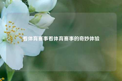 看体育赛事看体育赛事的奇妙体验
