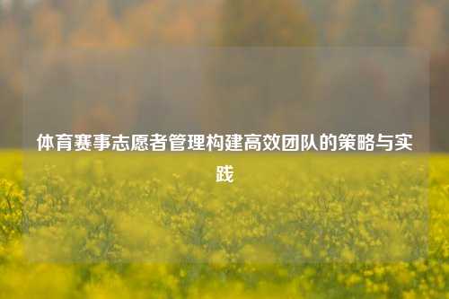 体育赛事志愿者管理构建高效团队的策略与实践