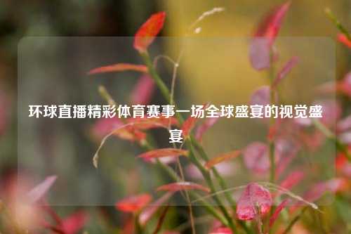 环球直播精彩体育赛事一场全球盛宴的视觉盛宴