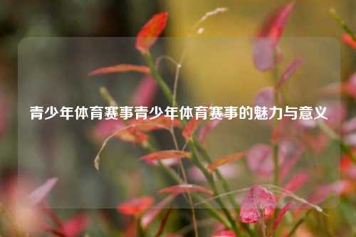 青少年体育赛事青少年体育赛事的魅力与意义