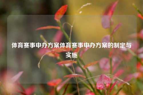 体育赛事申办方案体育赛事申办方案的制定与实施