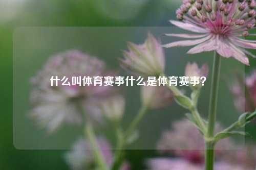 什么叫体育赛事什么是体育赛事？