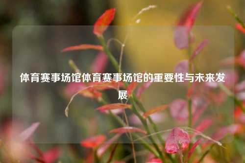 体育赛事场馆体育赛事场馆的重要性与未来发展