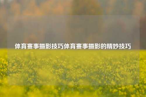 体育赛事摄影技巧体育赛事摄影的精妙技巧