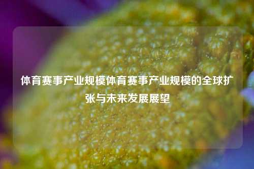体育赛事产业规模体育赛事产业规模的全球扩张与未来发展展望