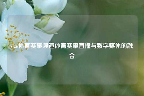 size体育赛事频道体育赛事直播与数字媒体的融合