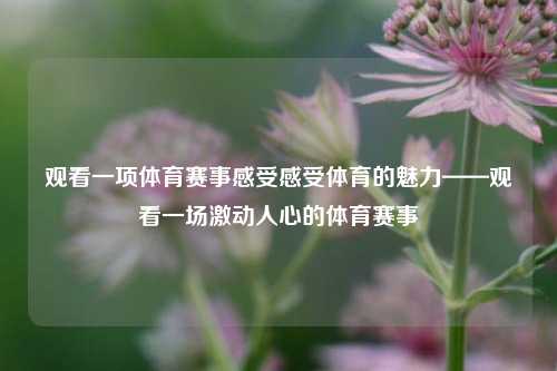 观看一项体育赛事感受感受体育的魅力——观看一场激动人心的体育赛事