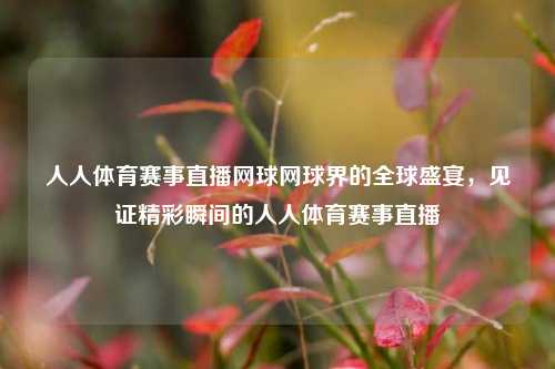 人人体育赛事直播网球网球界的全球盛宴，见证精彩瞬间的人人体育赛事直播