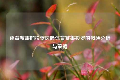 体育赛事的投资风险体育赛事投资的风险分析与策略