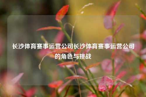 长沙体育赛事运营公司长沙体育赛事运营公司的角色与挑战