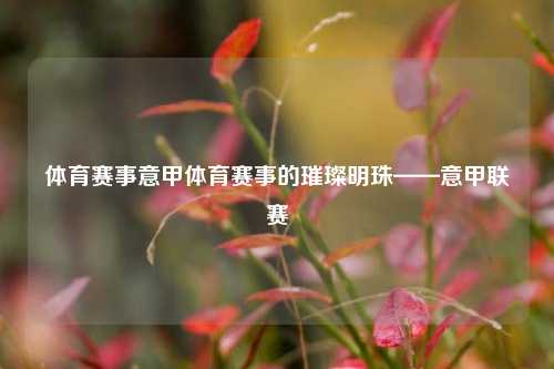 体育赛事意甲体育赛事的璀璨明珠——意甲联赛