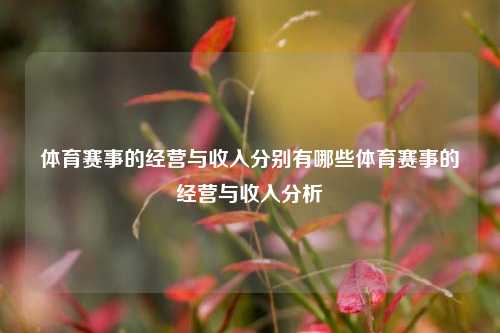 体育赛事的经营与收入分别有哪些体育赛事的经营与收入分析