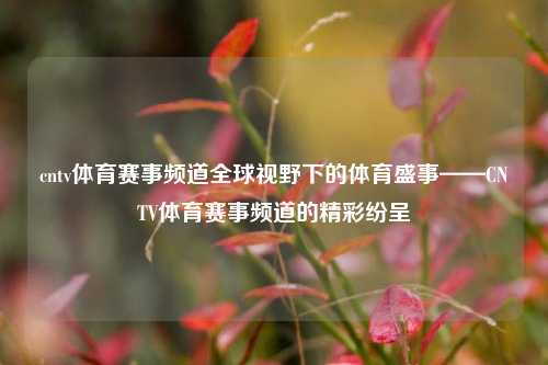 cntv体育赛事频道全球视野下的体育盛事——CNTV体育赛事频道的精彩纷呈