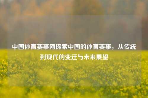 中国体育赛事网探索中国的体育赛事，从传统到现代的变迁与未来展望