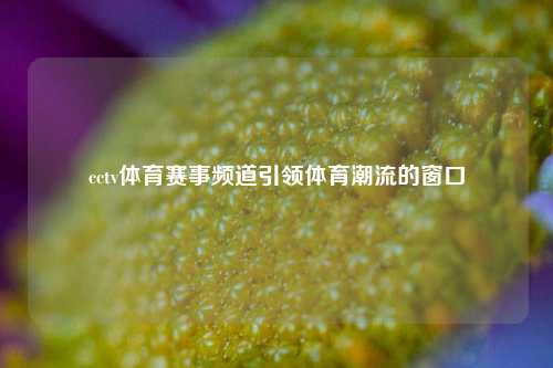 cctv体育赛事频道引领体育潮流的窗口