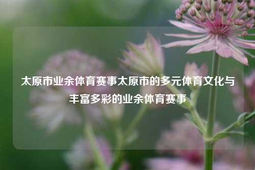 太原市业余体育赛事太原市的多元体育文化与丰富多彩的业余体育赛事
