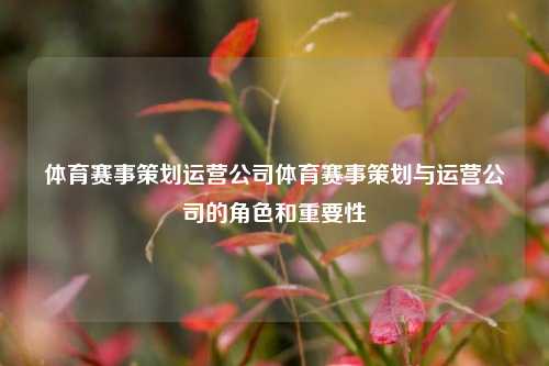 体育赛事策划运营公司体育赛事策划与运营公司的角色和重要性