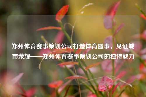 郑州体育赛事策划公司打造体育盛事，见证城市荣耀——郑州体育赛事策划公司的独特魅力