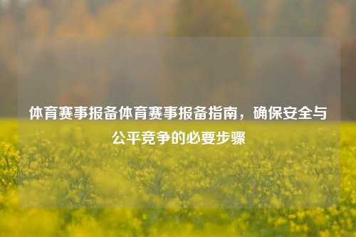 体育赛事报备体育赛事报备指南，确保安全与公平竞争的必要步骤