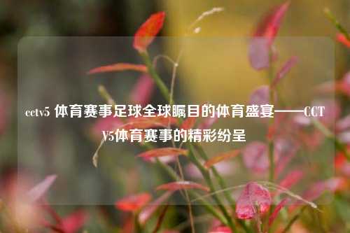 cctv5 体育赛事足球全球瞩目的体育盛宴——CCTV5体育赛事的精彩纷呈