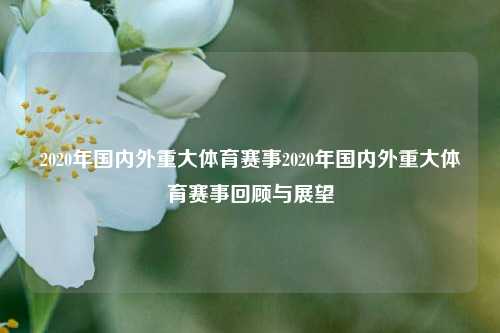 2020年国内外重大体育赛事2020年国内外重大体育赛事回顾与展望