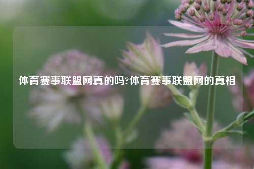 体育赛事联盟网真的吗?体育赛事联盟网的真相