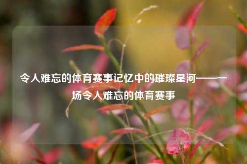 令人难忘的体育赛事记忆中的璀璨星河——一场令人难忘的体育赛事