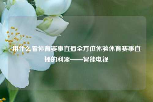用什么看体育赛事直播全方位体验体育赛事直播的利器——智能电视
