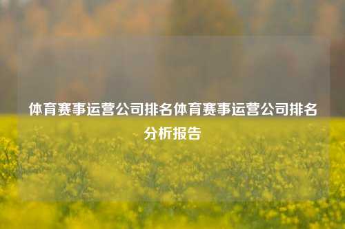体育赛事运营公司排名体育赛事运营公司排名分析报告