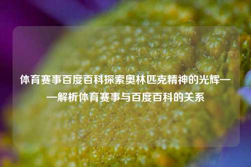 体育赛事百度百科探索奥林匹克精神的光辉——解析体育赛事与百度百科的关系