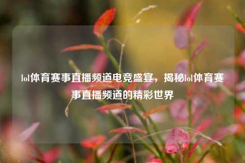 lol体育赛事直播频道电竞盛宴，揭秘lol体育赛事直播频道的精彩世界